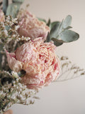 Bouquet de pivoines