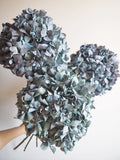 Bouquet d’hortensias