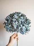 Bouquet d’hortensias
