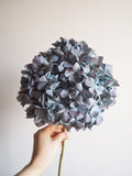 Bouquet d’hortensias