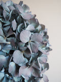 Bouquet d’hortensias