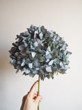 Bouquet d’hortensias