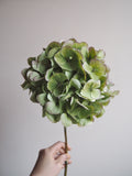 Bouquet d’hortensias