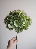 Bouquet d’hortensias