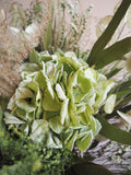 Bouquet vert et blanc