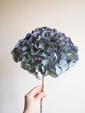 Bouquet d’hortensias
