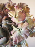 Bouquet d’hortensias