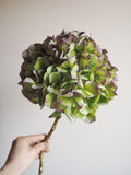 Bouquet d’hortensias