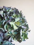 Bouquet d’hortensias