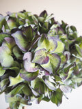 Bouquet d’hortensias