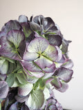 Bouquet d’hortensias