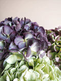 Bouquet d’hortensias