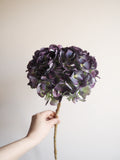 Bouquet d’hortensias