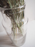 Pot en verre