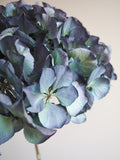 Bouquet d’hortensias