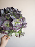 Bouquet d’hortensias