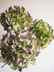 Bouquet d’hortensias