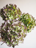 Bouquet d’hortensias