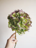 Bouquet d’hortensias