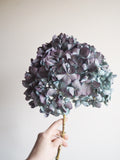 Bouquet d’hortensias
