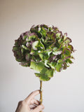 Bouquet d’hortensias