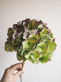 Bouquet d’hortensias