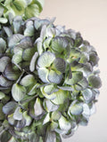 Bouquet d’hortensias