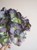 Bouquet d’hortensias