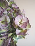 Bouquet d’hortensias