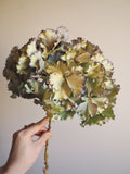 Bouquet d’hortensias