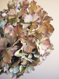 Bouquet d’hortensias