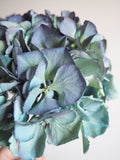 Bouquet d’hortensias