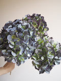 Bouquet d’hortensias